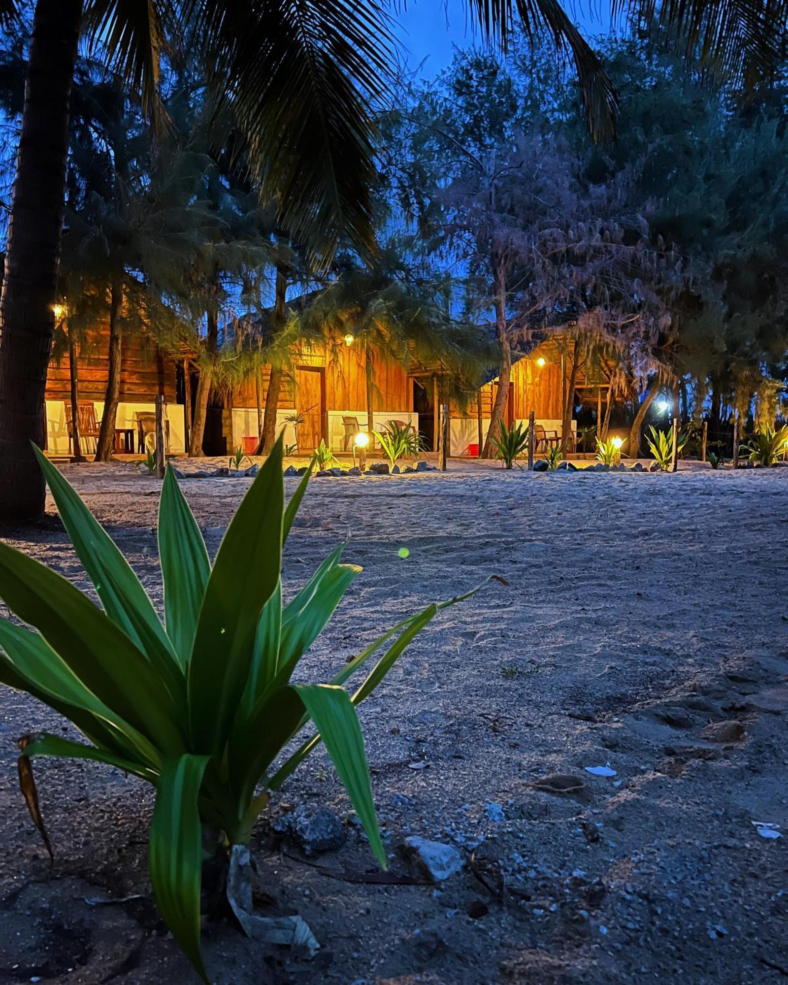 Sand Dune Beach Resort & Surf Camp Arugam Bay Eksteriør billede