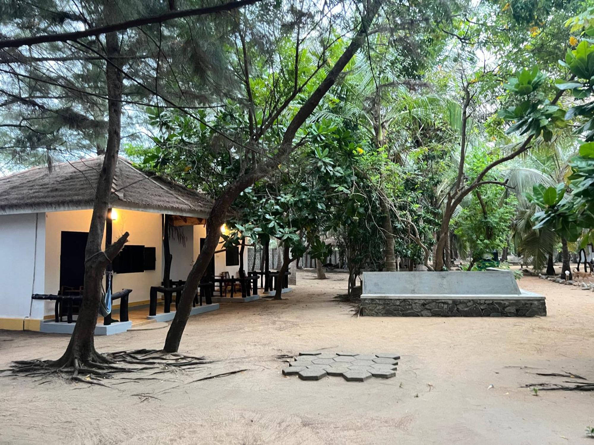 Sand Dune Beach Resort & Surf Camp Arugam Bay Eksteriør billede