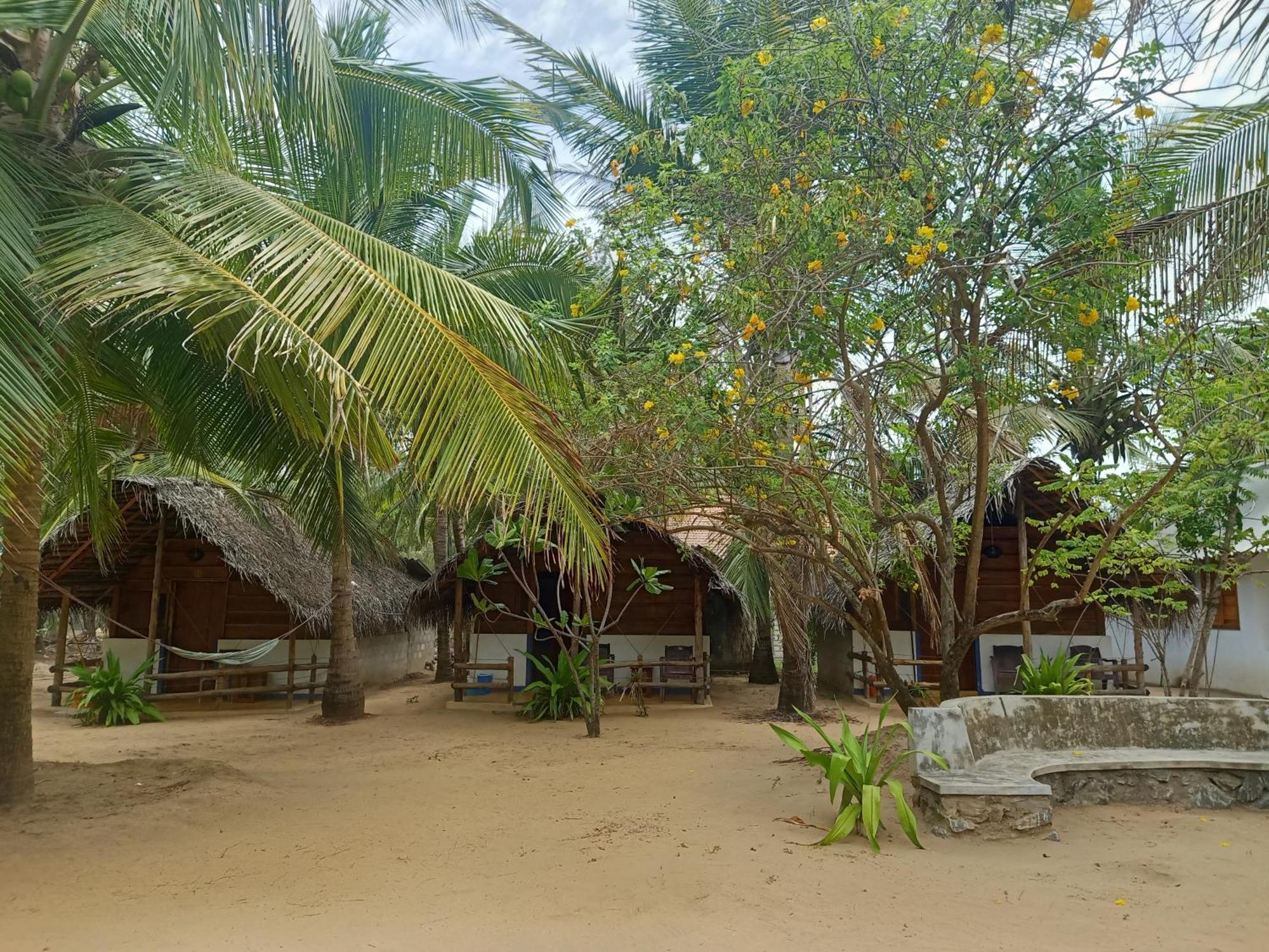 Sand Dune Beach Resort & Surf Camp Arugam Bay Eksteriør billede