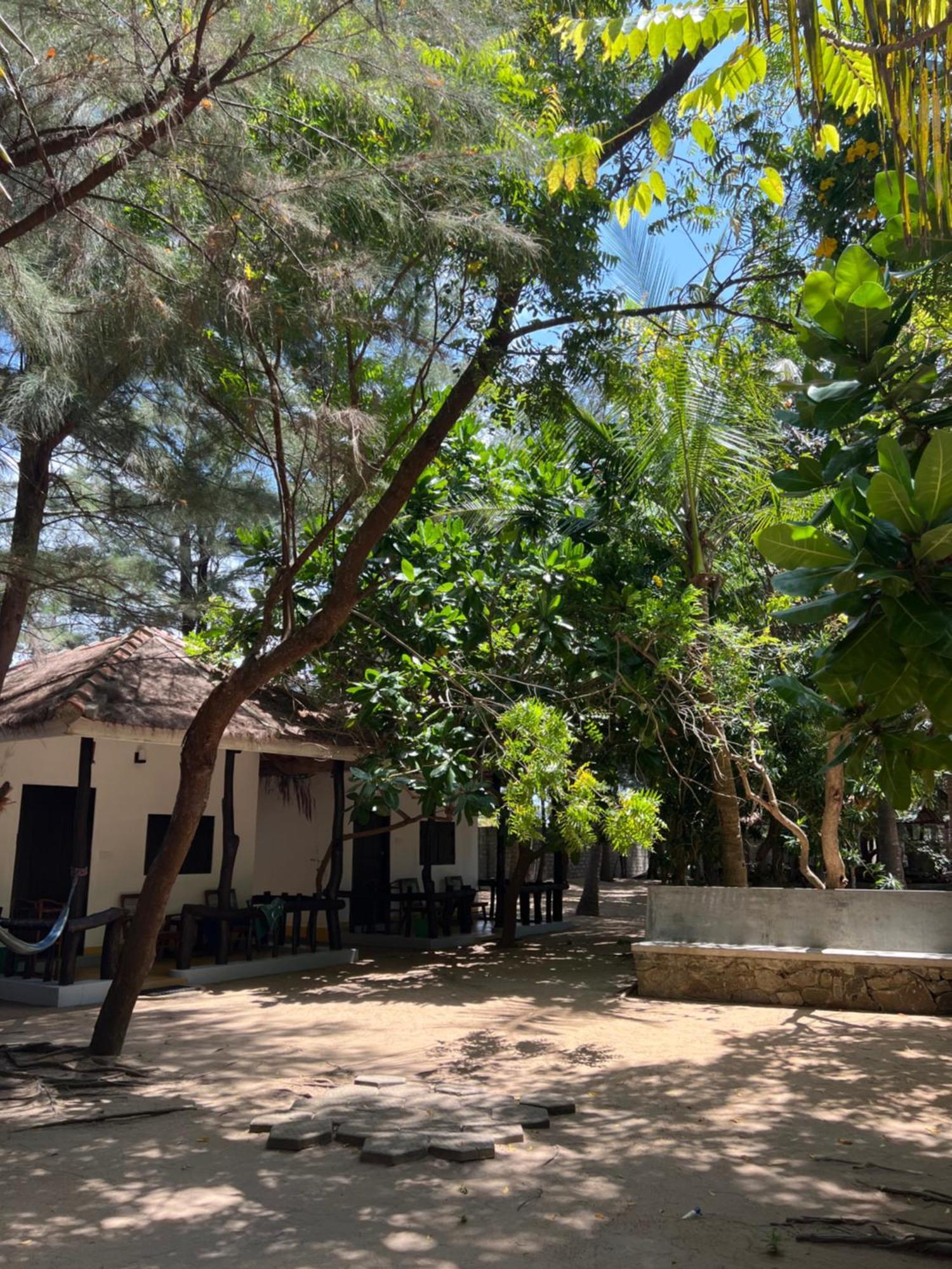Sand Dune Beach Resort & Surf Camp Arugam Bay Eksteriør billede